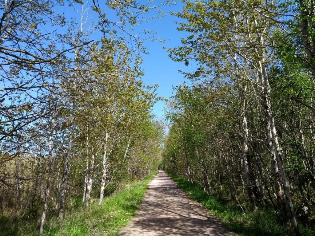 Lieblingszeit im Küstenwald Graal-Müritz Gelbensande Exterior foto